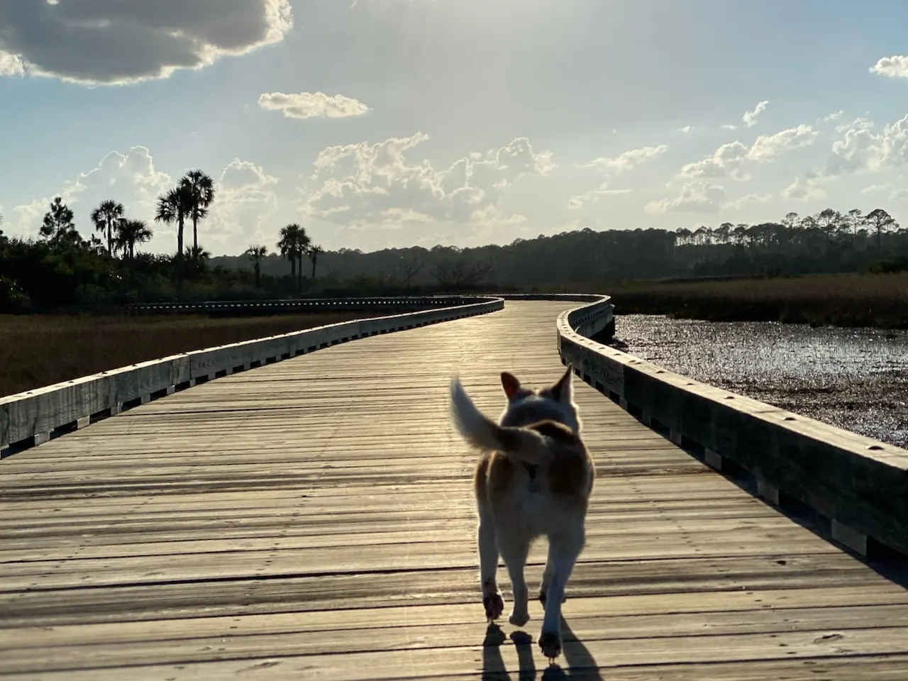 Ponte Vedra Beach boardwalk at golden hour